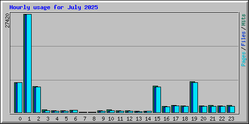 Hourly usage for July 2025