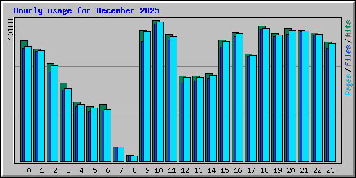 Hourly usage for December 2025